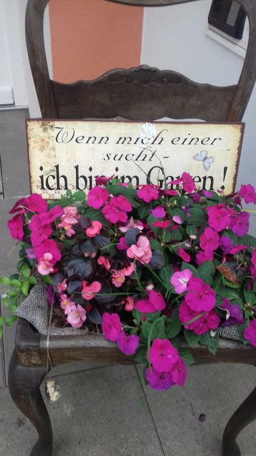 Fewo 1 Waren Mueritz - Haus Buchen Am Tiefwarensee - 1 Zi ภายนอก รูปภาพ